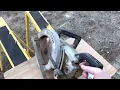 Craftsman Worm Drive Saw Lot 1258