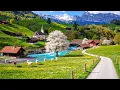 Download Lagu Exploring the Most Perfect Villages of Switzerland