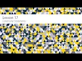 Lesson 17 Conditional Statements