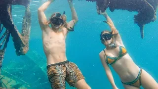 BOAT LIFE: In search of shipwrecks!