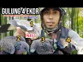 Download Lagu SPOT MIKAT TEKUKUR TERKAYA DI DUNIA , DELAPAN EKOR LANGSUNG IKUT PULANG. ( SUMBAR)