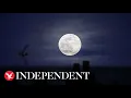 Moon phase test What is the latest viral TikTok trend and how does it work