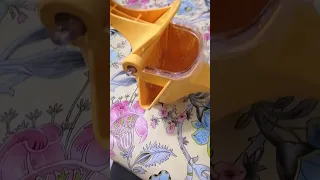 عصارة الفواكه 