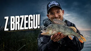 Sandacze PO STAREMU! Bez łódki i echosondy – część 1