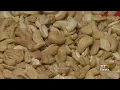 Annapolis Restaurant Certified Nut-Free Establishment