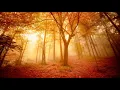 Download Lagu Beautiful Instrumental Hymns about Prayer and God's Help for your Troubles | Relaxing, Peaceful