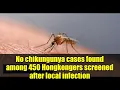 Lagu No chikungunya cases found among 450 Hongkongers screened after local infection