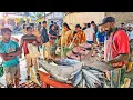 MASSIVE SHARK AT THE STREET FISH MARKET Incredible Fish Cutting Skills