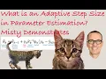 What is an Adaptive Step Size in Parameter Estimation