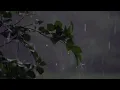 Lagu Idea 22 (anya nami remix) + rain and thunder sounds