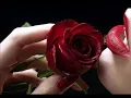 Deep purple : Love conquers all 愛征服了所有