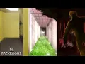 Da Backrooms All level walkthrough