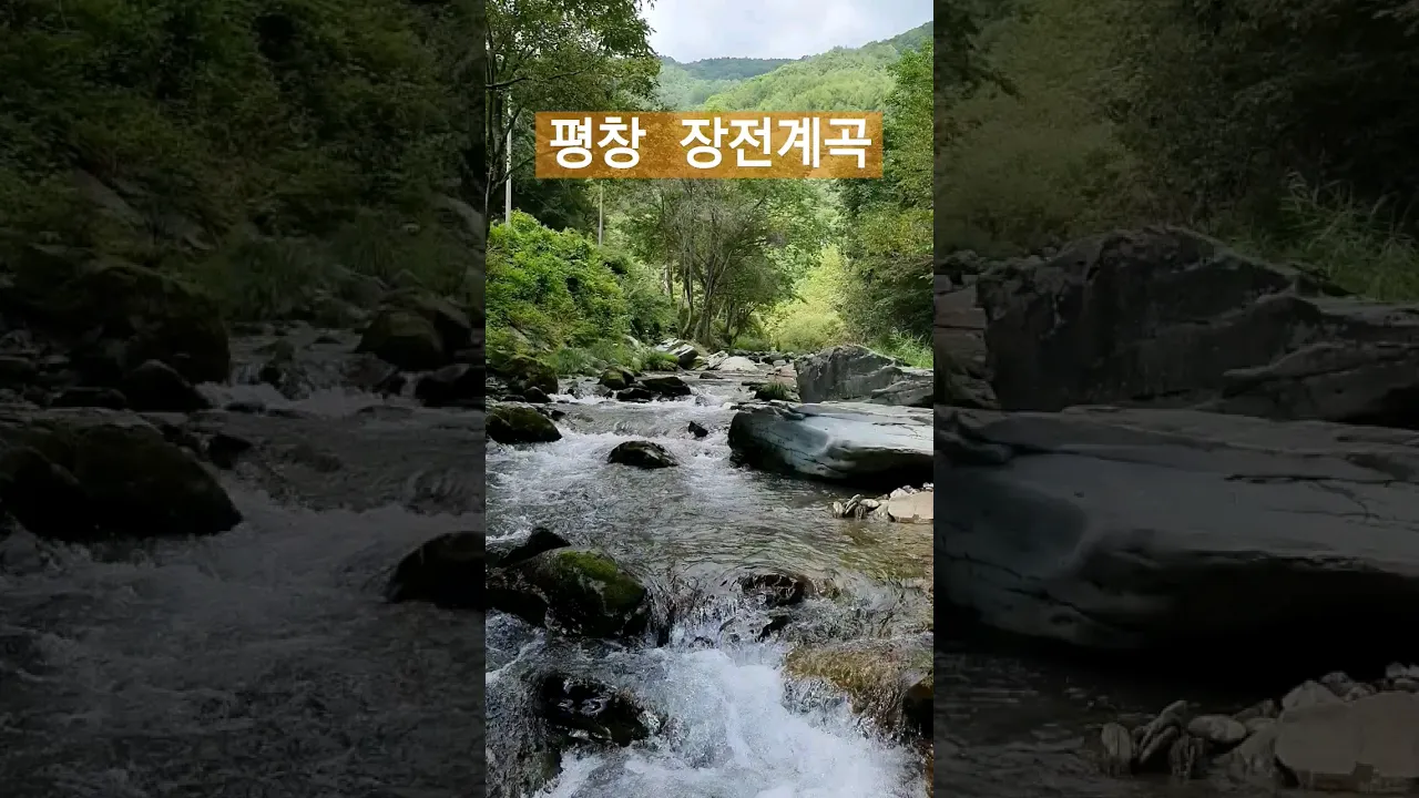 [평창장전계곡]휴가1일차 물놀이포인트 #자작캠핑카 #캠핑카여행 #계곡캠핑 #평창계곡 #진부계곡 #장전계곡 サムネイル