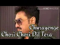 Chori chori Dil Tera Churayenge lyrics song ! Phool Aur Angaar ! Kumar Sanu and Sujata Goswamy