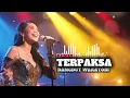 Download Lagu Dangdut Wakatobi | TERPAKSA |  ORG Musik Audio | Bassnya Bikin Lupa Utang | Full Bass