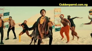  goldenparrot small doctor this year official video 