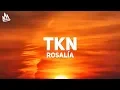 Download Lagu ROSALIA - TKN (Letra / Lyrics) ft. Travis Scott