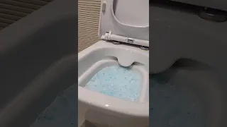                     دندنها