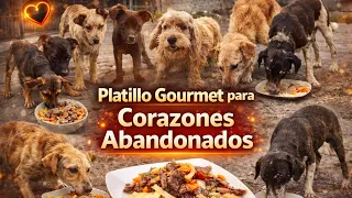 Un día Consintiendo Corazones Abandonados con platillo Gourmet de carne, verduras y arroz. 