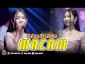 Download Lagu MALAM - ZAHRA PITALOKA | MOJO MUSIC LIVE