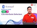 Unit 36 CSS Attribute Selectors CSS Beginner Level