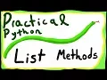 List Methods - Practical Python Programming