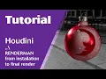 Pixar Renderman 27 for Houdini Solaris - from Installation to Final render plus Denoising