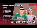 Download Lagu STECU - Faris Adam | PICA PICA | NGAPAIN REPOT | MODE PESAWAT | TOKI PINTU || POP TIMUR VIRAL TIKTOK