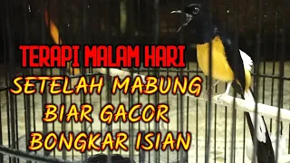 Download TERAPI MURAI BATU MALAM HARI  SETELAH MABUNG BIAR GACOR DAN BONGAKAR ISIAN MP3