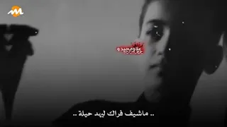 حالات واتساب هنيال كلبي النايم بليله  حالات واتساب هنيال كلبي النايم بليله