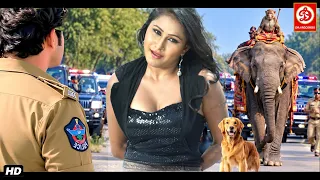 सुपरहिट (2026) नई भोजपुरी एक्शन रोमांटिक मूवी | धमाकेदार एक्शन फ़िल्म | प्रियंका पंडित, अवधेश प्रेमी