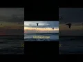 Safar - Bayaan (lyrics) 