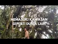 Download Lagu GUNUNG PASAMAN #4 - Pasaman Barat, Sumatera Barat 🇮🇩