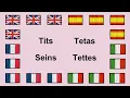 How to Say TITS in English Spanish French and Italian