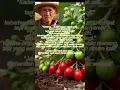 Download Lagu “Jangan Berhenti Saat Lelah, Berhentilah Saat Selesai!”#shorts #shortsviral #shortvideo #short
