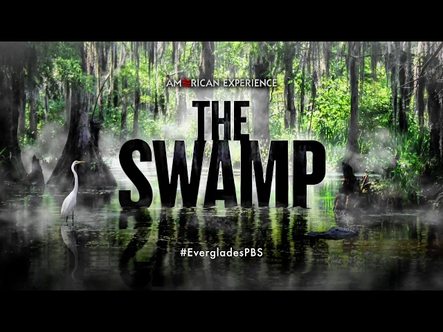 The Swamp | Coming to American Experience