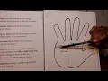226 The TRAVERSE PALMAR CREASE or SIMIAN LINE
