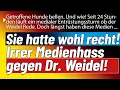 Download Lagu After an insane speech!💥Media hatred is being poured out on Weidel, but times have changed!