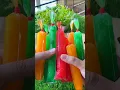 Download Lagu #shorts Make Colorful Ice Candies at Home #easyrecipe #ashortaday