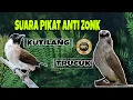 SUARA PIKAT BURUNG ANTI ZONK
