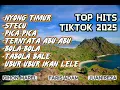 Download Lagu STECU | PICA PICA | NYONG TIMUR || LAGU POP TIMUR VIRAL TIKTOK VIMEO SPOTIFY SEPTEMBER 2025