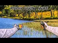 Fishing SHALLOW SHORELINE GRASS For AGGRESSIVE BASS Lake Gaston