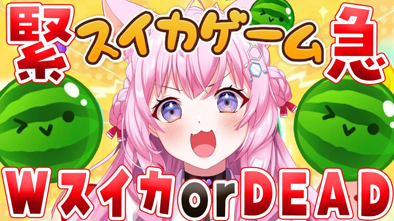 【緊急】【スイカゲーム】3500点↑＆Wスイカいけるかもしれないいいいいいいいい??【博衣こより/ホロライブ】