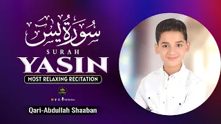 Viral New Recitation Boy Abdullah Ahmed Shaaban SURAH YASIN سورة يس Only Holy Quran 