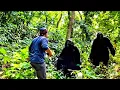 Download Lagu NGERI BANGET.!! BERTEMU MAHLUK BERBULU DITENGAH HUTAN LARANGAN JAWA TENGAH