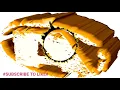 Download Lagu Sandy DTS_ARCADE [ BREKS ] Sandy Datunsolang