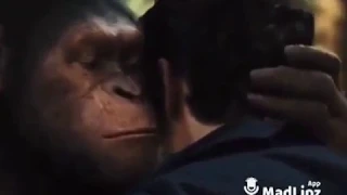 ميمز جزائري لعبلي بيه 