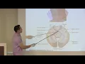Brian E Chen Lectures on Experience-Dependent Plasticity