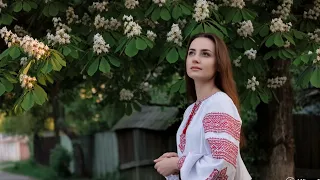 Зелене листя білі каштани Українська народна пісня Ukrainian Folk AI Version 