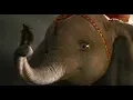 Video di Dumbo - Nuovo Trailer Ufficiale Italiano | HD